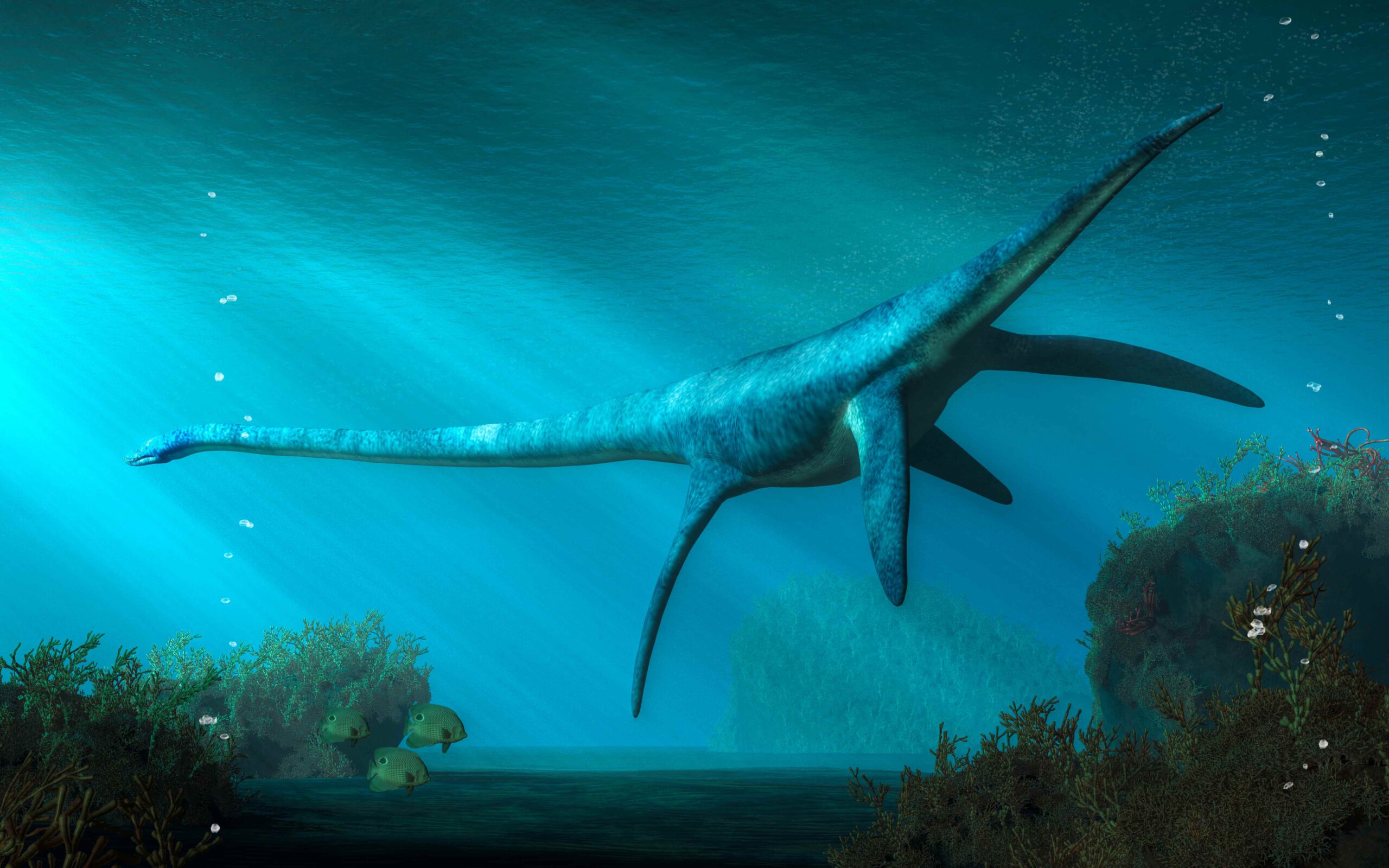 Did plesiosaurs fly underwater?