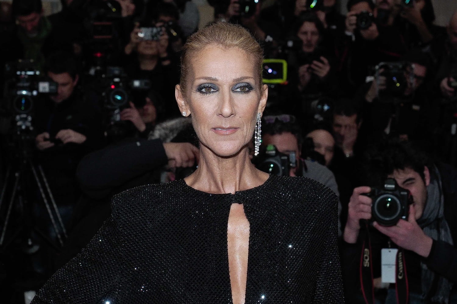 Celine Dion transforms into a femme fatale thanks to an expensive accessory
