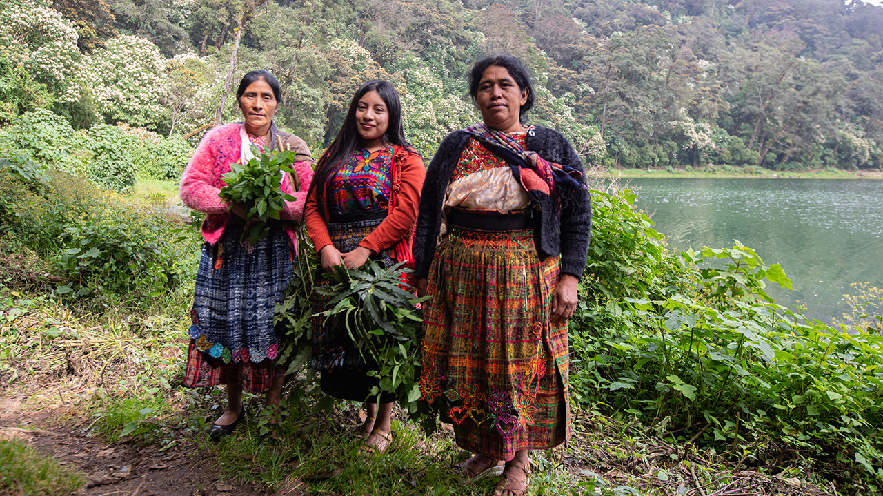 The Maya of Guatemala: awakening of indigenous culture
