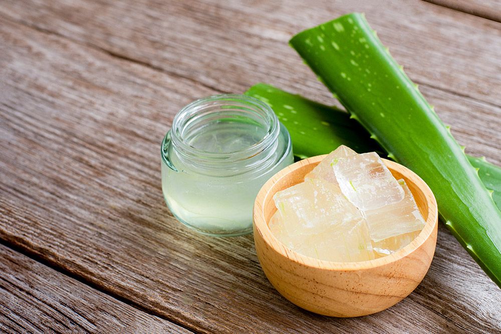 What are the benefits of Aloe Vera on the face - BLOG - EstriePlus.com |  Web News Journal |  Sherbrooke
