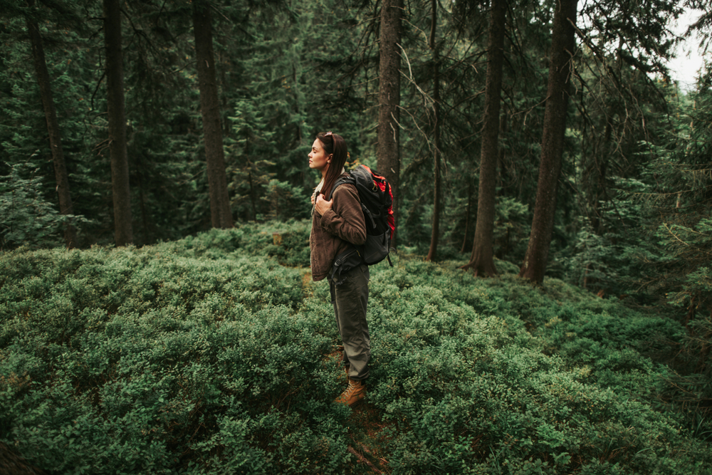 The benefits of “forest bathing” on psychological well-being